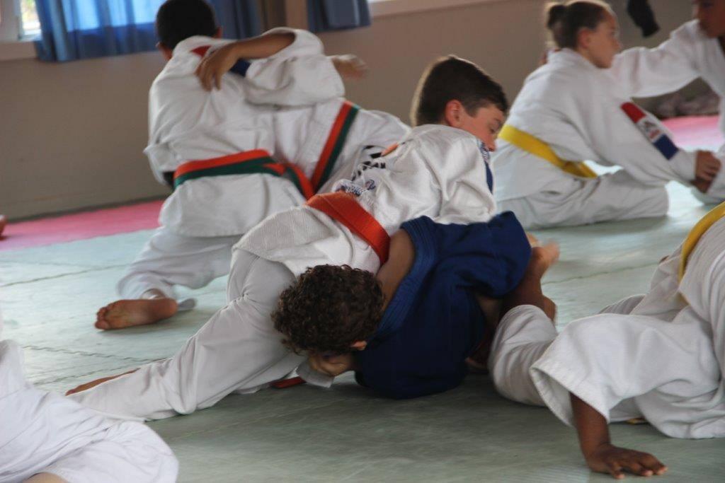 judoles2
