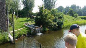 IMG-20170603-WA0079