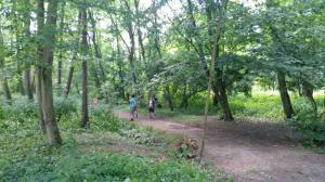 IMG-20170604-WA0100